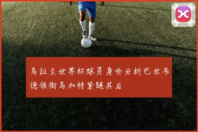乌拉圭世界杯球员身价分析巴尔韦德领衔乌加特紧随其后